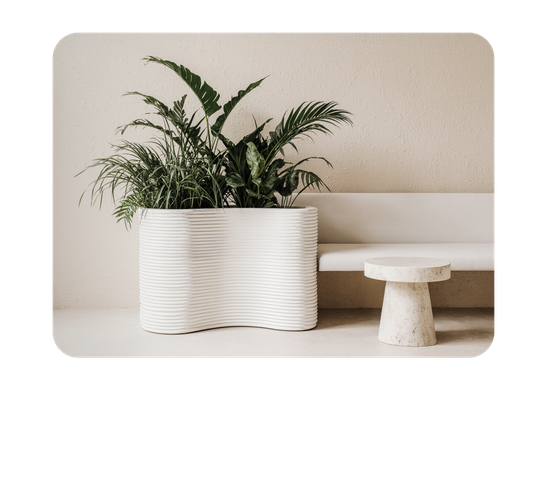 Фитодизайн