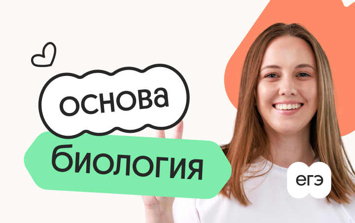 Биология. Основа. Подготовка к ЕГЭ 2027 с ноября — курс на результат